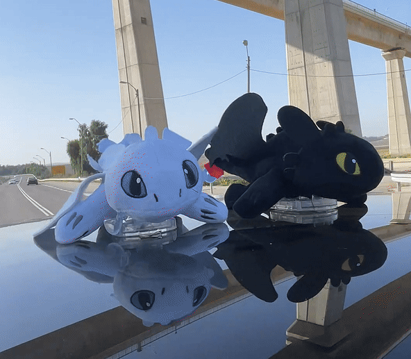 Toothless RearDragon