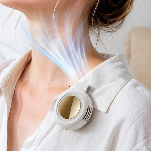 whirlwind fan portable