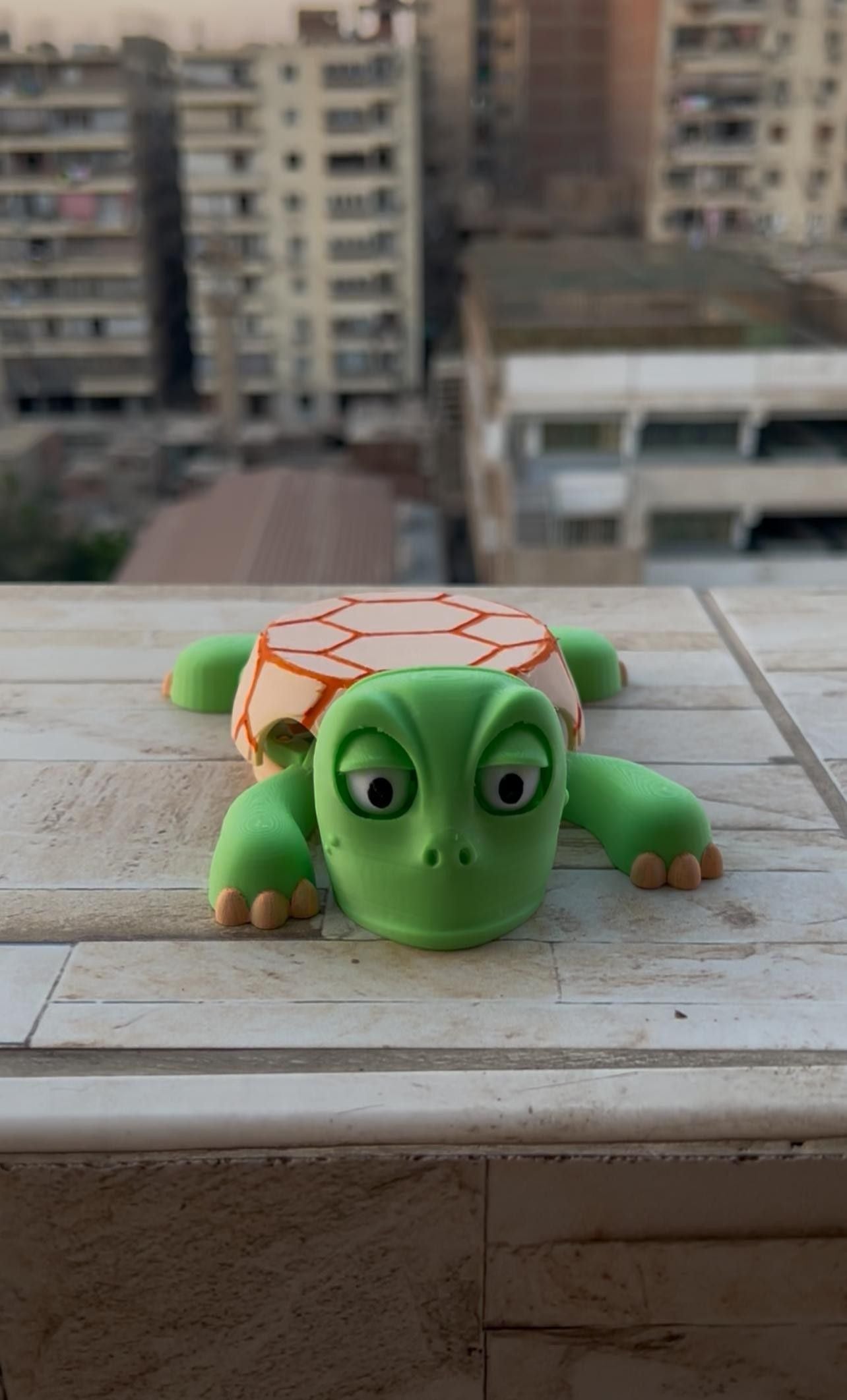 Turtle Funny Coaster